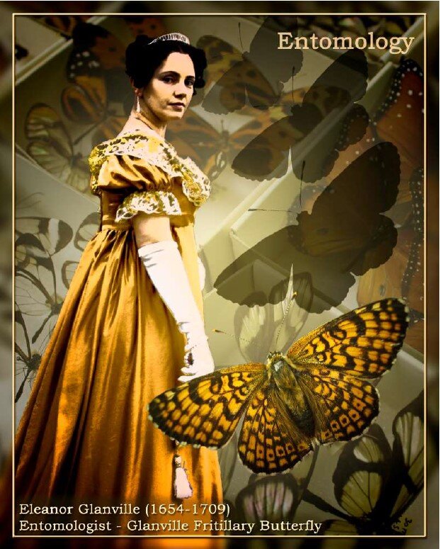 Eleanor Glanville (1654 - 1709) Entomologist credited for the Glanville Fritillary Butterfly